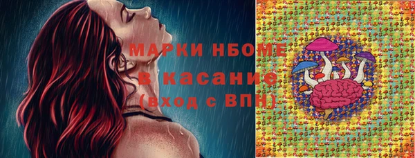 Альфа ПВП Аркадак