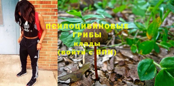 Альфа ПВП Аркадак