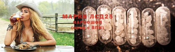 Альфа ПВП Аркадак