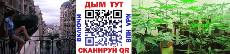 Шишки марихуана конопля  наркота  Куйбышев 